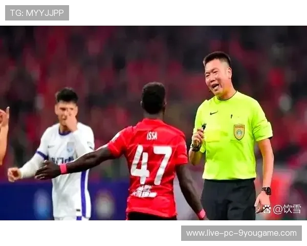 比赛裁判判罚争议分析，比赛裁判职责